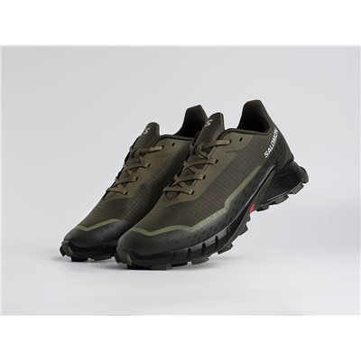 Кроссовки Salomon Alphacross 5 GTX