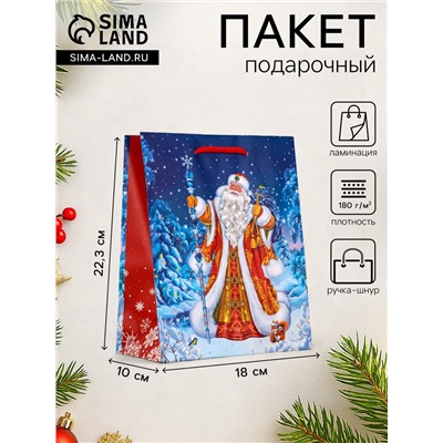 Пакет подарочный новогодний ламинированный, «Новогодний набор », 18×10×22.3 см
