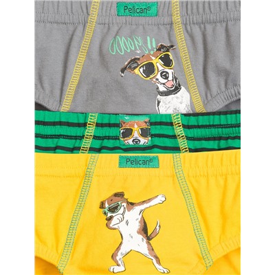 PELICAN Трусы BULB3205(3)