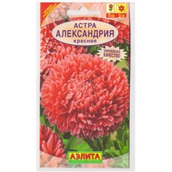 Астра Александрия Красная (Код: 10109)