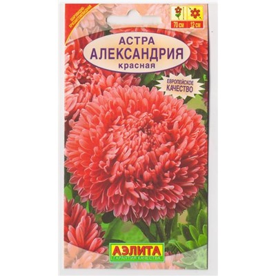 Астра Александрия Красная (Код: 10109)