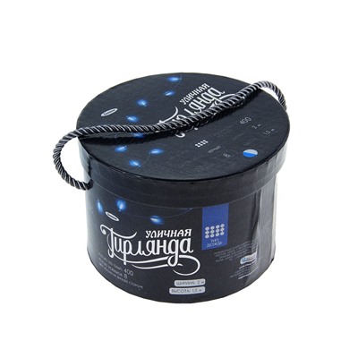 Гирлянда «Водопад» 2×1.5 м, IP44, тёмная нить, 400 LED, свечение бело-синее, 8 режимов, 220 В