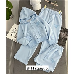 Спортивный костюм #23040727