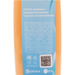 Гель для душа детский, аромат карамельные конфетки, 250 мл, Холодное сердце