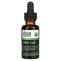 Gaia Herbs, листья оливкового дерева, 30 мл (1 жидк. унция)