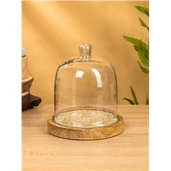 Клош стеклянный, 18×18×20.5 см, дерево