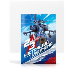 Подарочный набор, ежедневник А5, магнитные закладки и ручка «23 февраля»