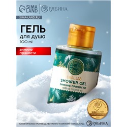 Гель для душа URAL LAB, 100 мл, аромат зимних пряностей, 100 мл, URAL LAB