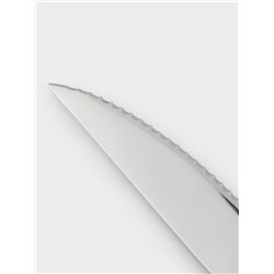 Ножи для стейка Доляна, длина 23 см, толщина рабочей части 2.2 мм, толщина ручки 5 мм, 410 сталь, набор 3 шт., нержавеющая сталь, серебристые
