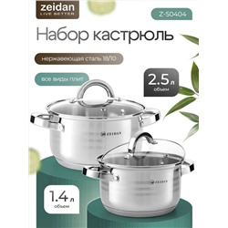 ZEIDAN Набор Z-50404