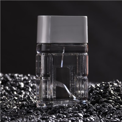 Туалетная вода мужская Platinum Bottled, 100 мл (по мотивам Polo (R.Lauren)