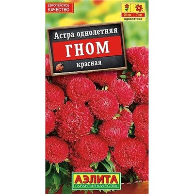 Астра Гном Красная Аэлита