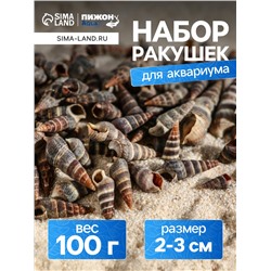 Набор ракушек Батиллярия, 100 г