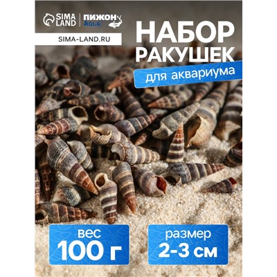 Набор ракушек Батиллярия, 100 г