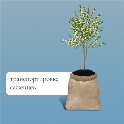 Мешок джутовый, 40 × 60 см, плотность 26 × 26 нитей, без завязок, Greengo