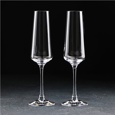 Набор бокалов для шампанского 160 мл. Corvus, 2 шт.