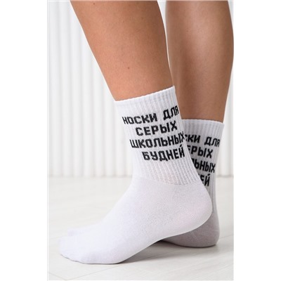 Носки стандарт Школьные будни (набор 3 пары) НАТАЛИ, 1105430
