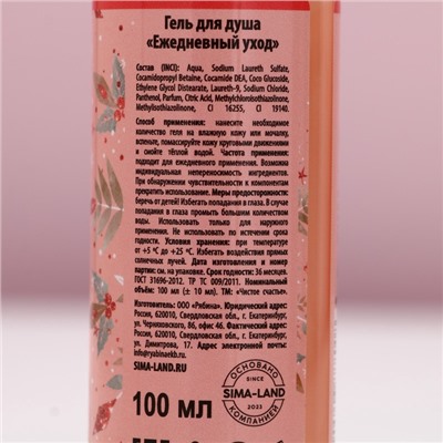Подарочный набор новогодний «Исполнения желаний»: гель для душа 100 мл и мочалка для тела, Чистое счастье