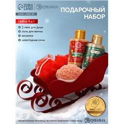 Подарочный набор новогодний в санях: гель для душа 2 шт., соль для ванны и мочалка, URAL LAB