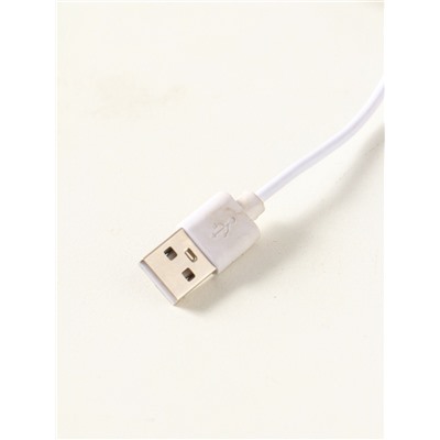 Световая фигурка стекло «Диск. Голограмма: Девочка и кит», 5×LED, d=10 см, USB, 10×4×11.4 см