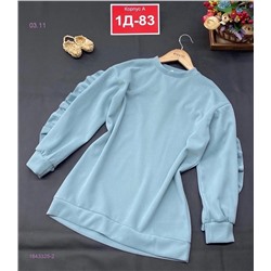 Свитшот 1843325-2