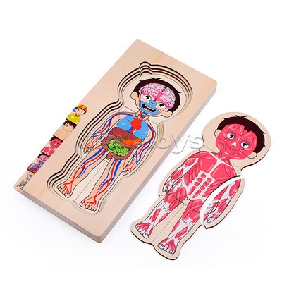 Пазл-вкладыш "Мальчик