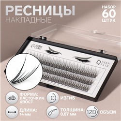 Набор накладных ресниц «Ласточкин хвост», пучки, 14 мм, толщина 0.07 мм, изгиб С, 12 D