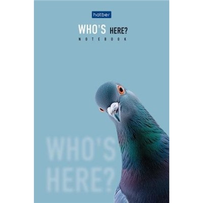 Блокнот А6  40л клетка на склейке "Кто здесь?" (093598) Хатбер