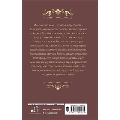 378323 АСТ Александра Лисина "Трое из академии. Трое в долине"