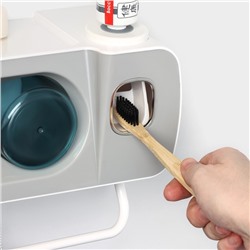 Органайзер для ванных принадлежностей, 24×11×11.5 см