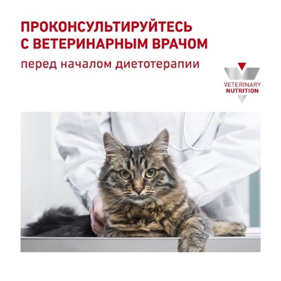 Сухой корм RC Renal RF 23 Feline для кошек с почечной недостаточностью, 2 кг