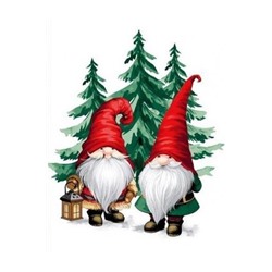 Набор 3 полотенца "Новогодние гномики", вафля