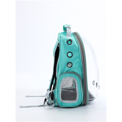 Рюкзак для переноски животных, 31×28×42 см, прозрачный, бирюзовый