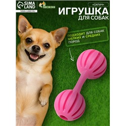 Игрушка жевательная «Силач», TPR, 15 см, розовая