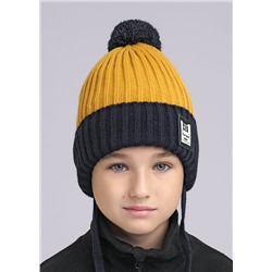453973 CLEVER Шапка