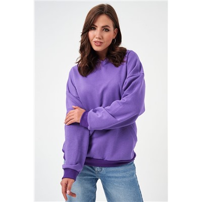 Толстовка 52717 НАТАЛИ, 1214773