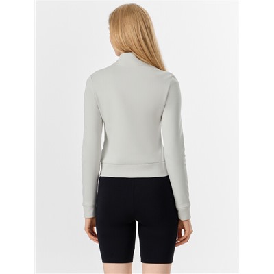 ТОЛСТОВКА ЖЕНСКАЯ 172039