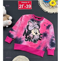 кофта с начесом 2055011-2