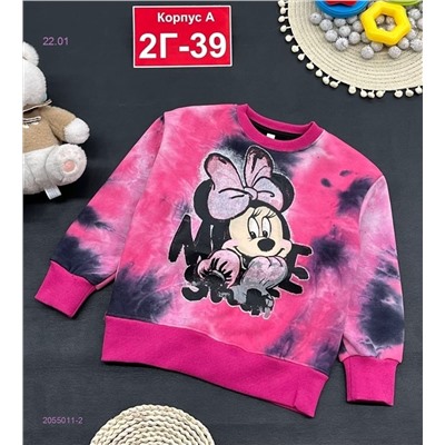 кофта с начесом 2055011-2