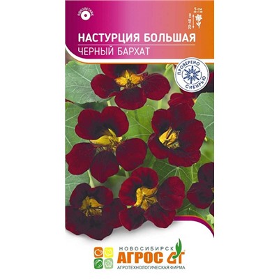 Настурция Черный Бархат (Код: 93705)