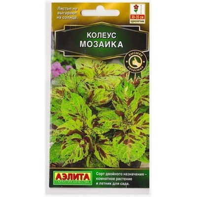 Колеус Блюме Мозаика (Код: 76222)