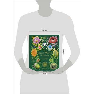 Эксмо Ben Hoare "The Secret World of Plants (Ben Hoare) Тайный мир растений (Бен Хоар) / Книги на английском языке"