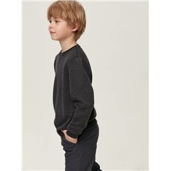 ESLI 22С-62СП Джемпер для мальчика