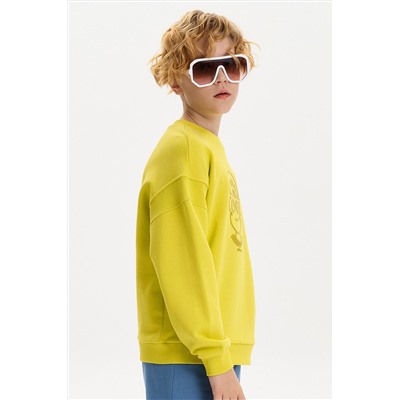 Толстовка для мальчиков PELICAN, 1236461