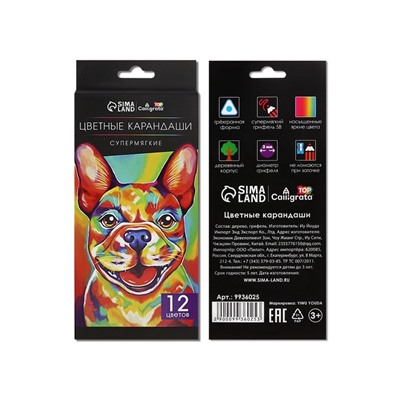 Карандаши Calligrata, 12 цветов, супермягкие, диаметр грифеля 3 мм