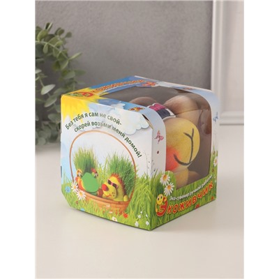 Набор для выращивания «ЭкоЖивчик. Обезьяна», фигурка растущая в подарочной упаковке