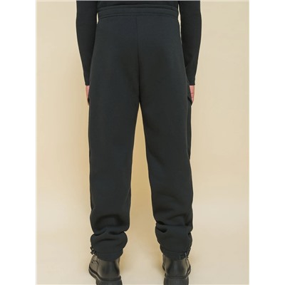 PELICAN Брюки BFPQ3335