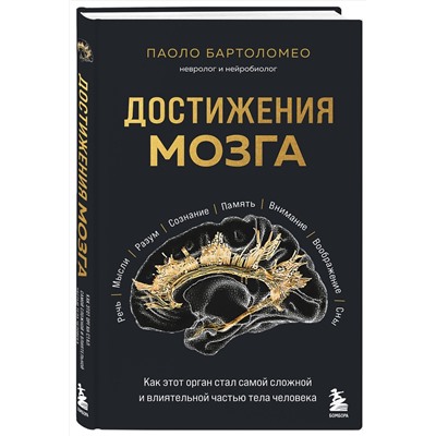 Эксмо Паоло Бартоломео "Достижения мозга. Как этот орган стал самой сложной и влиятельной частью тела человека"