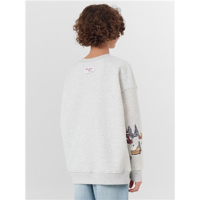 СВИТШОТ ДЛЯ МАЛЬЧИКОВ 123437/1