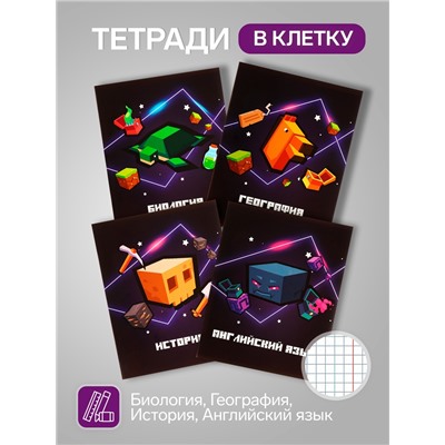 Набор предметных тетрадей А5, 36 листов Сalligrata «Пиксели», 10 предметов